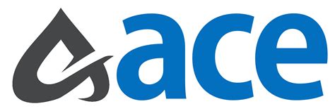 ace digital infotech|ACE Digital Infotech.